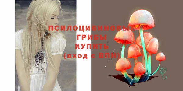 индика Переславль-Залесский