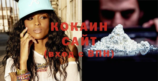 индика Переславль-Залесский